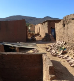 Artisanal Pottery and Woodworking Cooperative