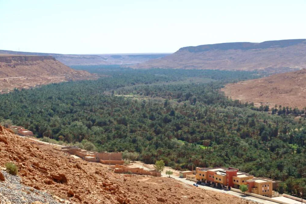 A desert valley with a dense green oasis and low buildings at the bottom, surrounded by rocky cliffs