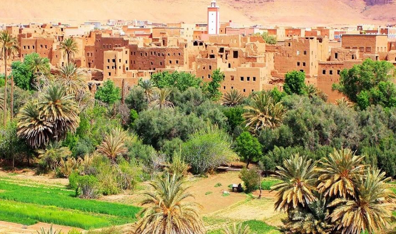 Oasis with palm trees and a mud-brick village in the desert