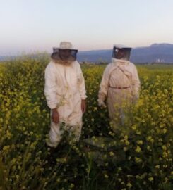 Nahlat Tinghir Agricultural Cooperative
