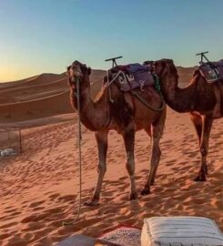 Desert Bivouac Merzouga