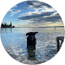 Ilaria Sala profile picture
