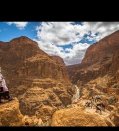 Camel Trekking Morocco Tours
