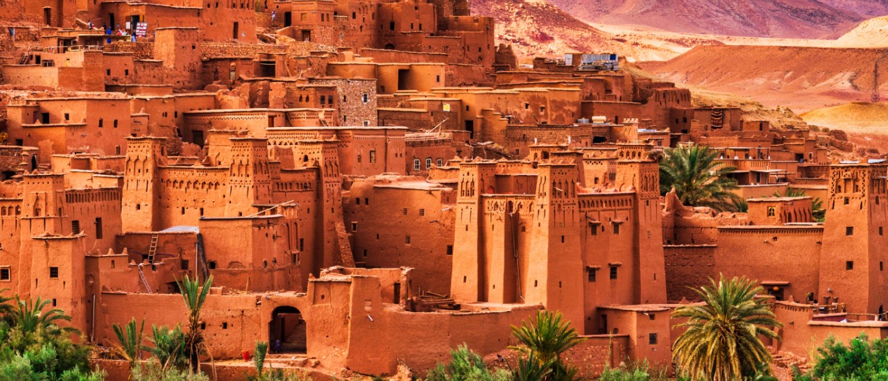 Mud-brick desert village with palm trees and hillside buildings
