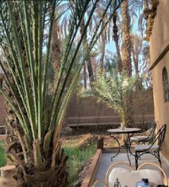 Serenity Lodge Zagora Guest House Restaurant & Desert Excursions