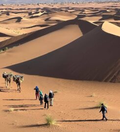 Akabar-Sahara Treks: real authentic Sahara tours with nomads team
