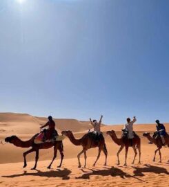 Zagora desert tours dunes & oasis