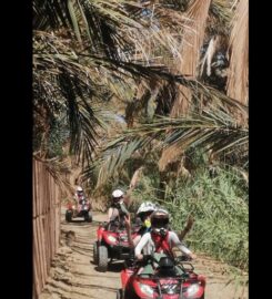 Quad Excursion Zagora