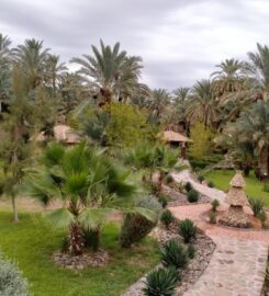 Riad Lamane