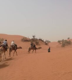 Ouarzazate Day Tour & Sahara Excursion | Atlas Mountains & Desert Trips