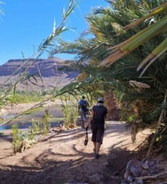 guide espaces naturels — randonnées & excursions à ouarzazate fint