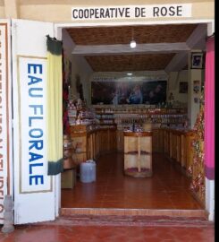 Coopérative floral de rose