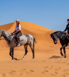 Moorish Trips