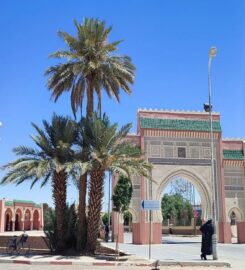 Moorish Trips