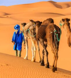 Moorish Trips