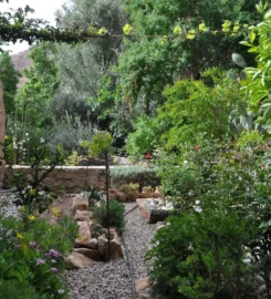 A Secret Garden