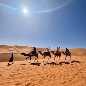 Zagora desert tours dunes & oasis place picture