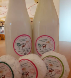 Corosa : Coopérative féminine pour l'élevage des chèvres et la fabrication du fromage_Ouarzazate