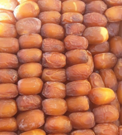 Coopérative agricole TOMOUR WAHATE OUARZAZATE